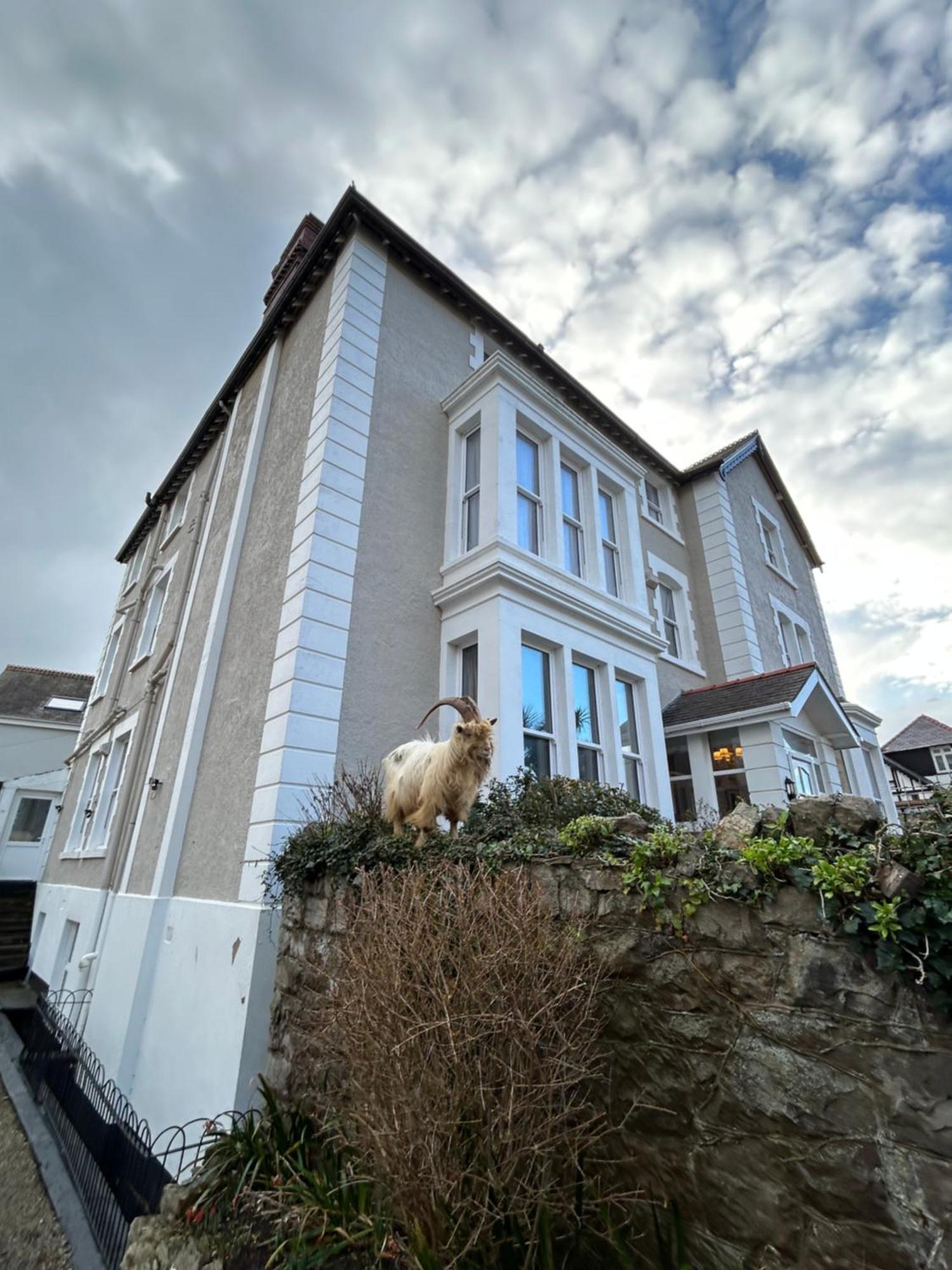 Hotel Lansdowne House With Private Car Park
